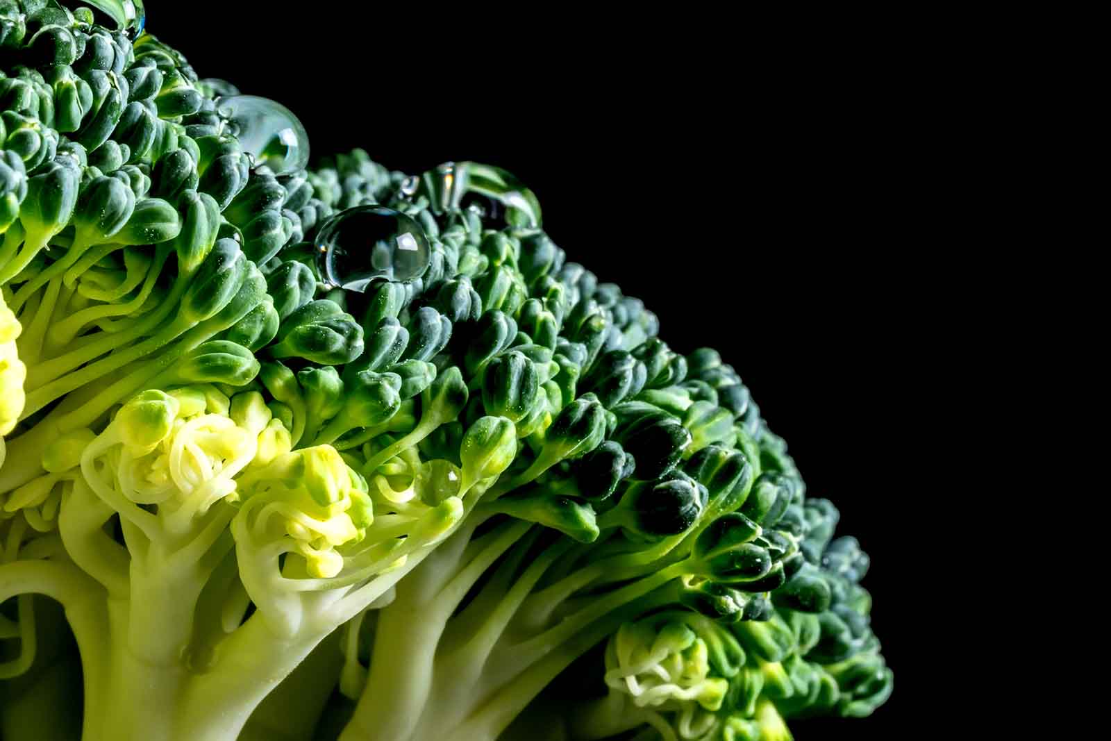 Broccoli